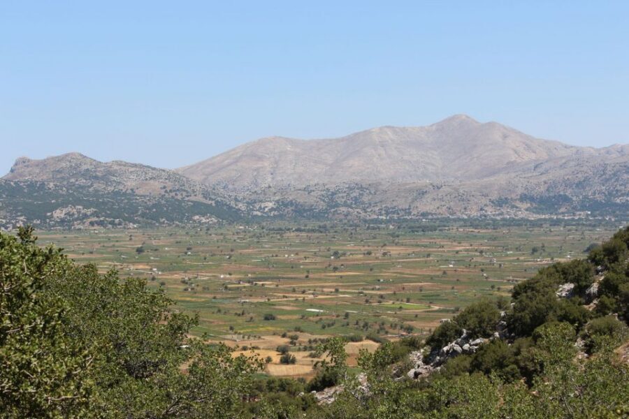 Crete: Land Rover Safari Through the Plateaus - The return drive: olive groves and coast views on the way back