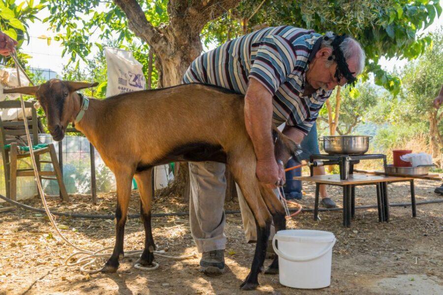 Crete: Lasithi Plateau and Cave of Zeus Off-Road Safari Tour - Key moments that make this tour worth your time