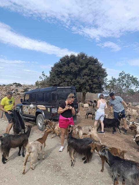 Crete: Lasithi Plateau Zeus Cave Guided Jeep Safari Tour - Zeus Cave visit: ticket planning, timing, and what to expect