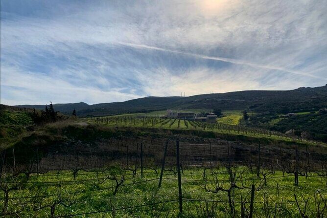 Crete: Olive Oil, Soap, Wine, Raki - Flavorful Culinary Journey - Wine and raki at micro-winery and distillery: learn the production, not just the pour