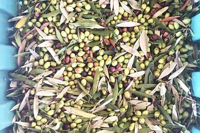 Crete: Olive Oil, Soap, Wine, Raki - Flavorful Culinary Journey - Peza Village lunch: the part that turns instruction into hospitality