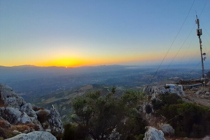 Crete: Olive Oil, Soap, Wine, Raki - Flavorful Culinary Journey - The olive mill stop: press, tasting, and what you should look for