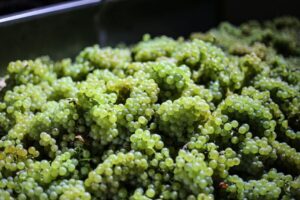 Crete: Olive, Wine, & Raki on a Flavorful Culinary Journey - Pickup, premium SUV ride, and the real meaning of 6.5 hours