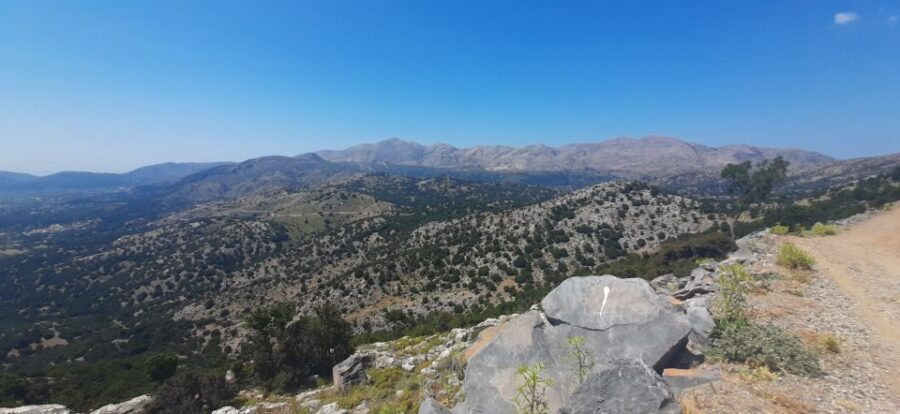 Crete: Olive, Wine, & Raki on a Flavorful Culinary Journey - The comfort and pacing: premium transport, village driving, and not getting rushed