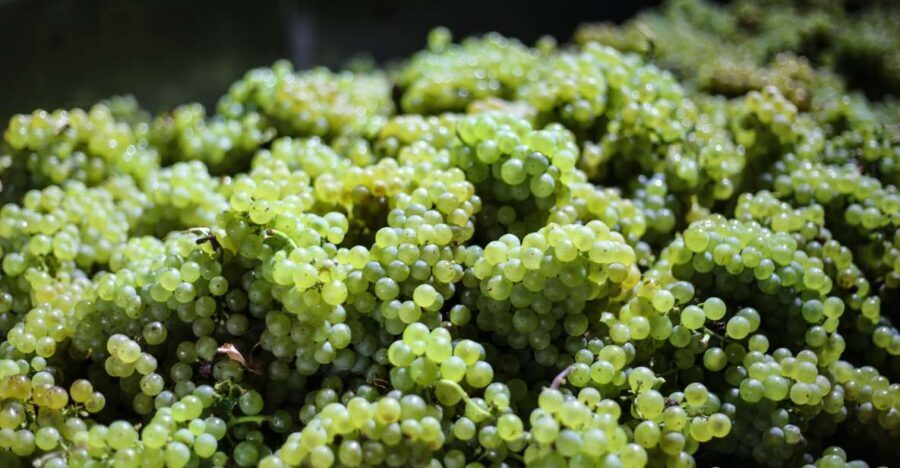 Crete: Olive, Wine, & Raki on a Flavorful Culinary Journey - Price and value: what $126 buys you (and what it doesn’t)