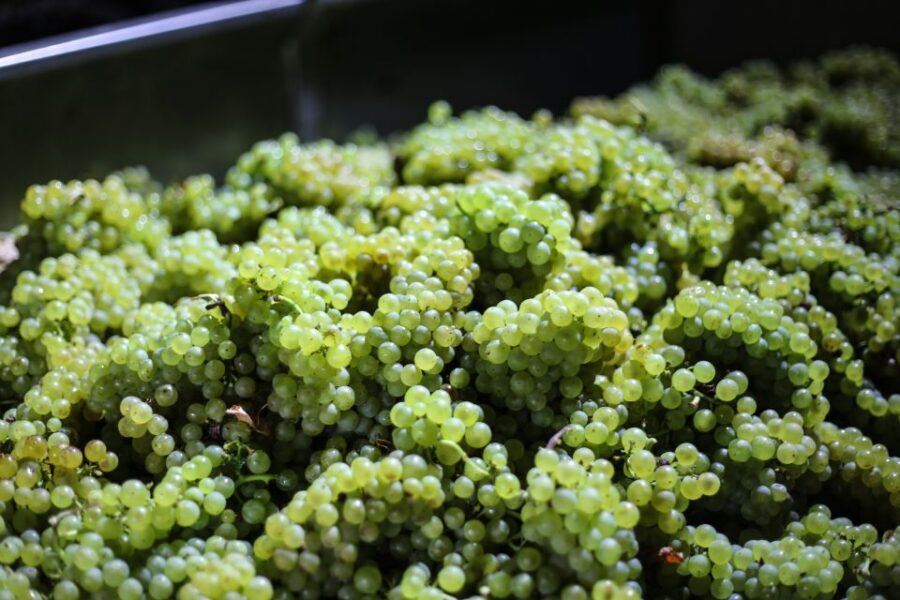 Crete: Olive, Wine, & Raki on a Flavorful Culinary Journey - Pickup, premium SUV ride, and the real meaning of 6.5 hours