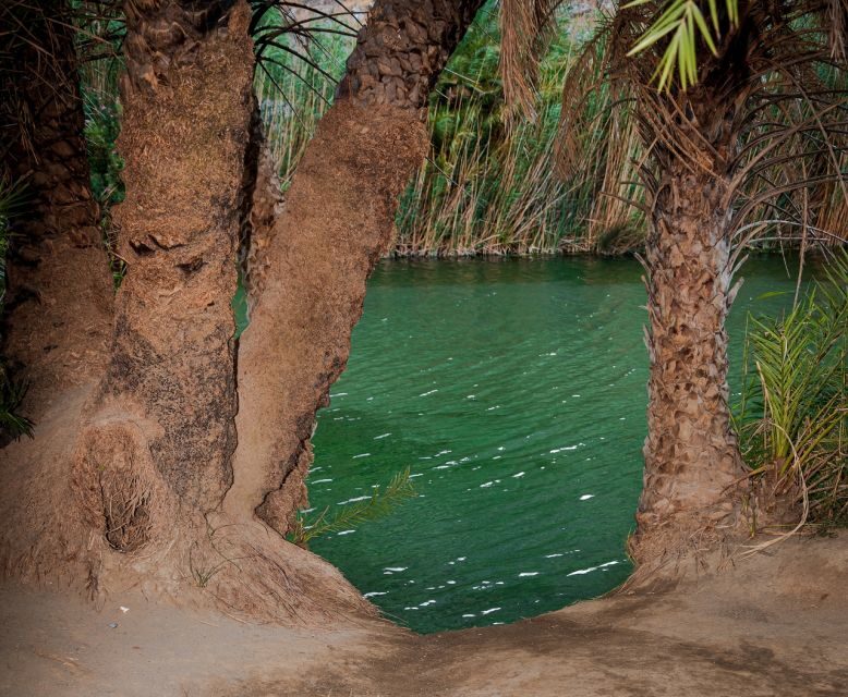 Crete: Preveli Tropical Beach and Palm Forest - Quick hits before you go
