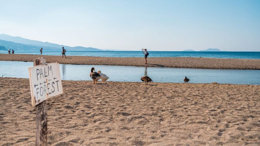Crete: Preveli Tropical Beach and Palm Forest - Preveli Beach: swim, snorkel, and chase the heart-shaped rock