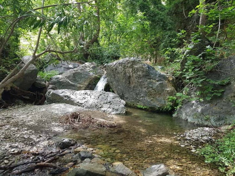 Crete: Richtis Waterfall Full-Day Tour with Olive Tasting - Traditional tavern lunch with wine and water: where the value really shows