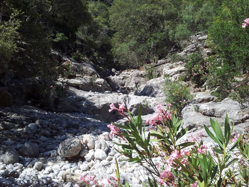 Crete: Richtis Waterfall Full-Day Tour with Olive Tasting - Guides, stories, and why small groups feel better on this route