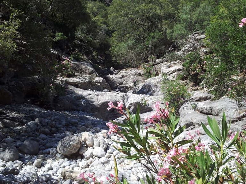 Crete: Richtis Waterfall Full-Day Tour with Olive Tasting - What to pack: the shoes-and-towel checklist for Richtis