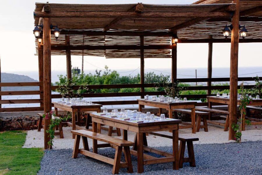 Crete: Road-trip to Lasithi Plateau & Olive Mill Farm - Krasi village and the ancient plane tree that anchors the whole place