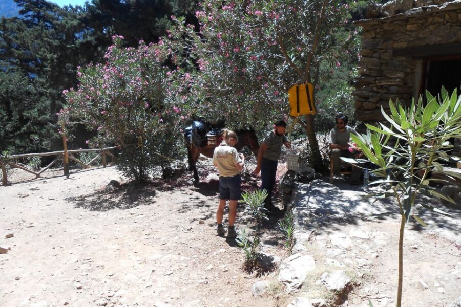 Crete: Samaria Gorge Hiking with transfer and expert Escort - Samaria Gorge: the kind of hike that earns its reputation