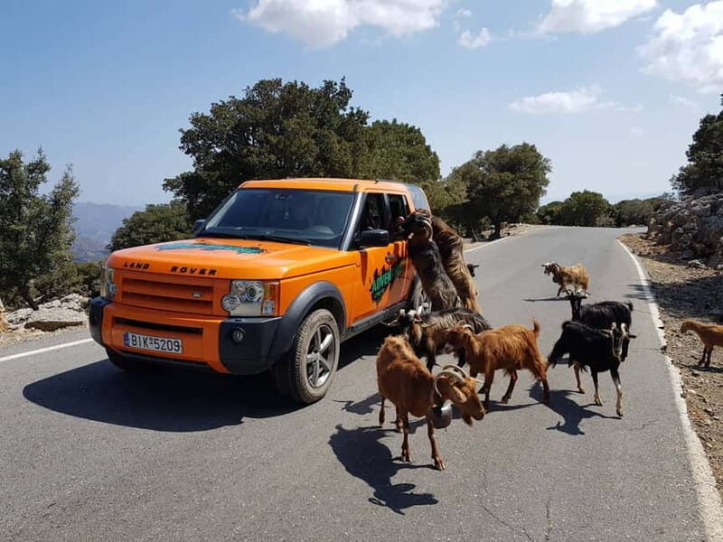 Crete: Sarakina Gorge, Forests, and South Coast Safari - Off-Road North-to-South Safari: What the Land Rover Day Feels Like
