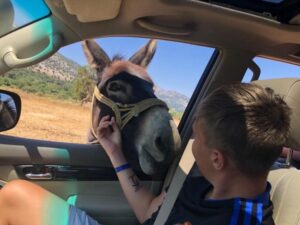 Crete: Sightseeing Day Trip with Cooking Lesson and Lunch - Potamies Farm: Goat Milking and Milk Products You Can Actually Taste