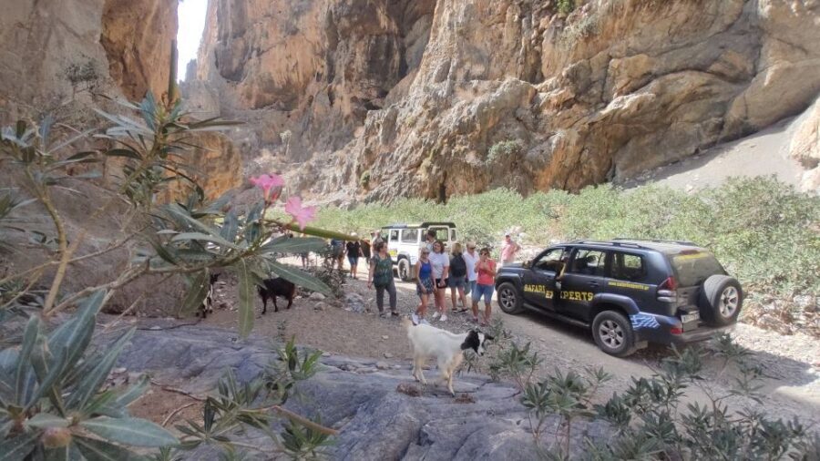 Crete: Trypiti Beach Off-Road South Tour w/ Lunch & Wine - St. Savvas canyon photo stop: views you can actually use