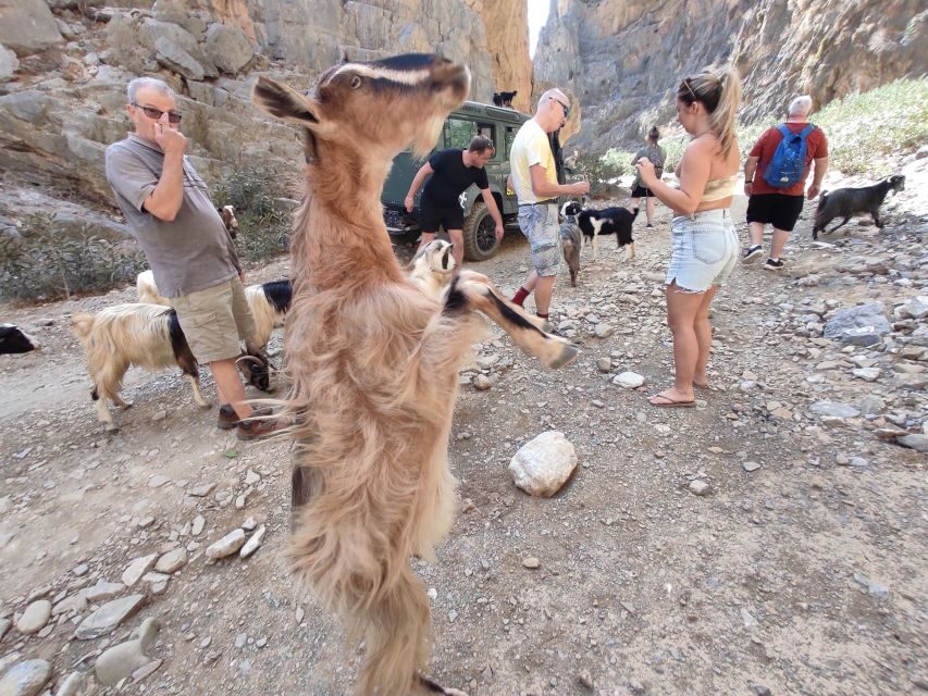Crete: Trypiti Beach Off-Road South Tour w/ Lunch & Wine - Trypiti gorge: the off-road thrill through steep rock and wildlife time