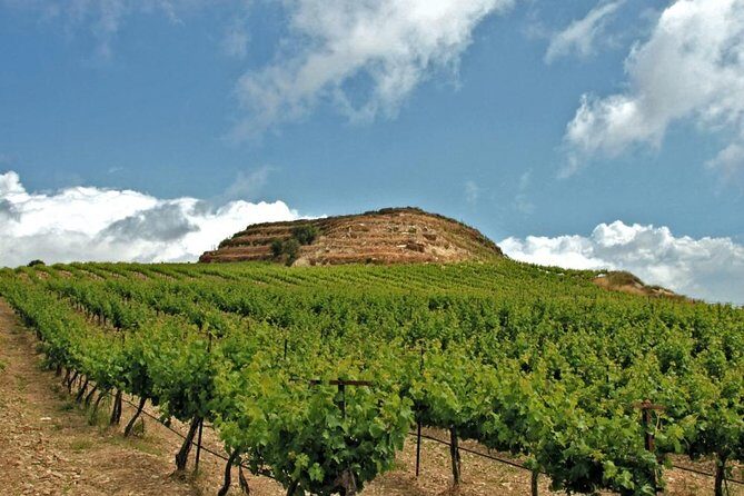 Crete Wine and Olive Oil Tour - Crete Wine and Olive Oil Tour: The Quick Pitch