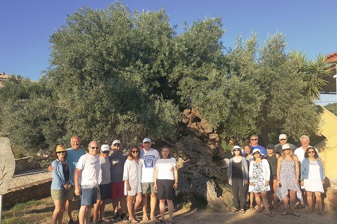 Crete Wine and Olive Oil Tour - What You’ll Actually Taste: Wines, Extra Virgin Olive Oil, and Food
