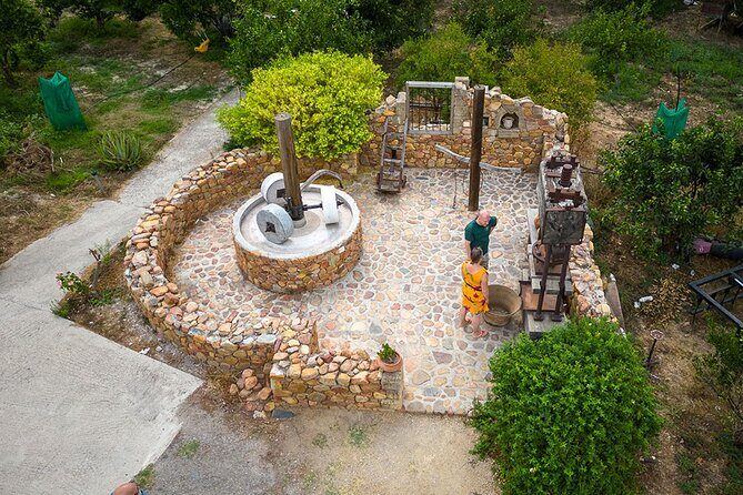 Crete Wine and Olive Oil Tour - Vouves Monumental Olive Tree: The World’s Oldest Olive Moment