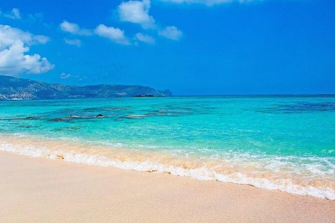 Elafonisi Beach Trip from Rethymno - Price and value: what’s included, what costs extra, and how to avoid surprises