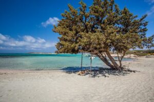 Elafonisi & Milia Mountain - Jeep Tour with Loungers and Lunch - Pickup from Chania and the 7-Seater Jeep Comfort Plan