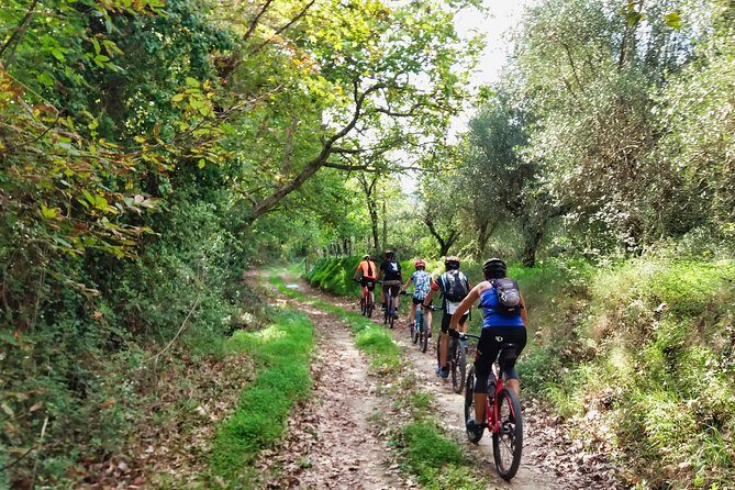 Eleftherna E-Bike and MTB Tour - Experience The Authentic Crete - Key things to know before you go