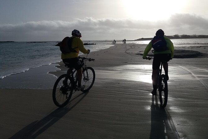 Eleftherna E-Bike and MTB Tour - Experience The Authentic Crete - Who This Tour Suits (and Who Might Want a Different Option)