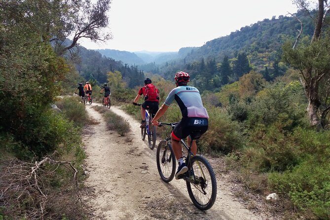 Eleftherna E-Bike and MTB Tour - Experience The Authentic Crete - Your Bikes and Effort Level: E-Bike Basics, Then Real Riding