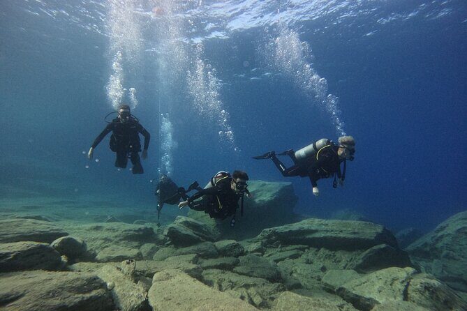 Experience Scuba Diving in Heraklion Crete - Mononafitis Beach underwater time: fish schools and surprises