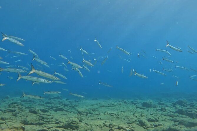 Experience Scuba Diving in Heraklion Crete - Price of $119.47: what you’re really paying for