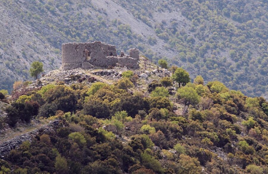 From Chania/Almyrida : Imbros Gorge Hike - The Imbros Gorge hike: scenery, plants, and the E4 trail feel
