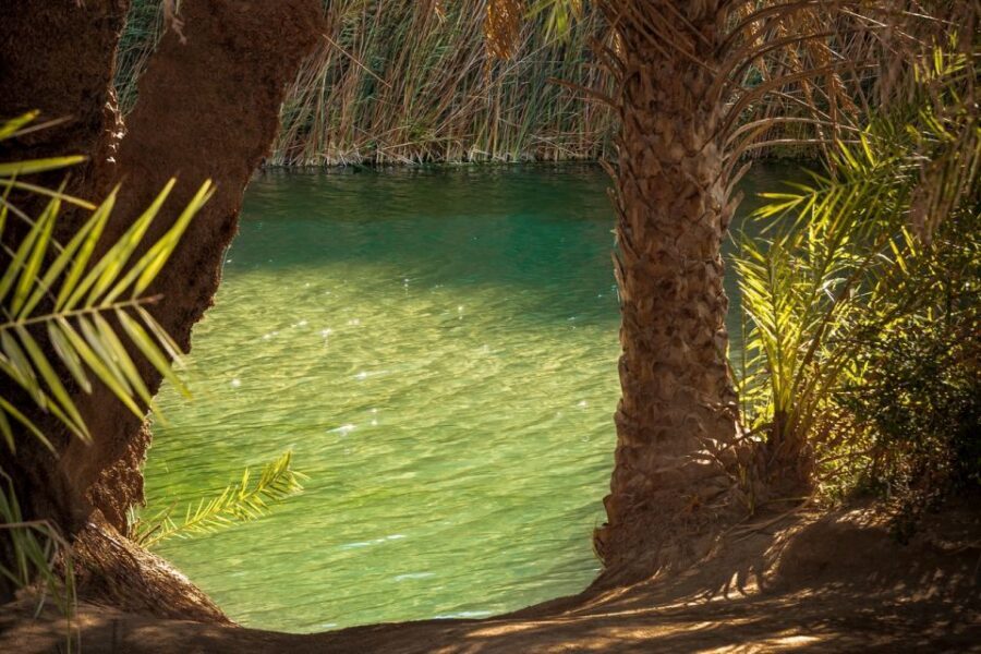 From Chania: Day Trip to Preveli Beach & Damnoni Beach - Who This Tour Fits (and Who Should Skip It)
