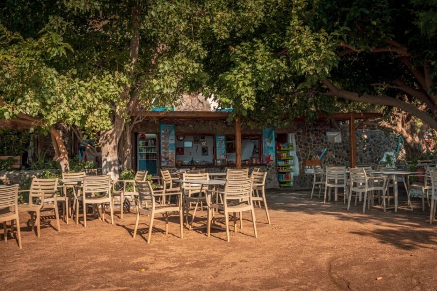 From Chania: Day Trip to Preveli Beach & Damnoni Beach - South Coast in One Day: What This Trip Gives You