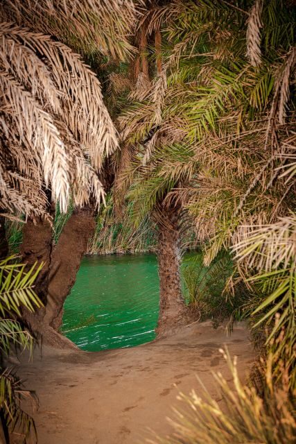 From Chania: Day Trip to Preveli Beach & Damnoni Beach - Plakias Stop: Lunch, Shopping, and Real Beach Choices