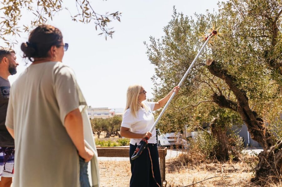 From Chania: Elafonisi and Falasarna Guided Tour with Snacks - FAQ