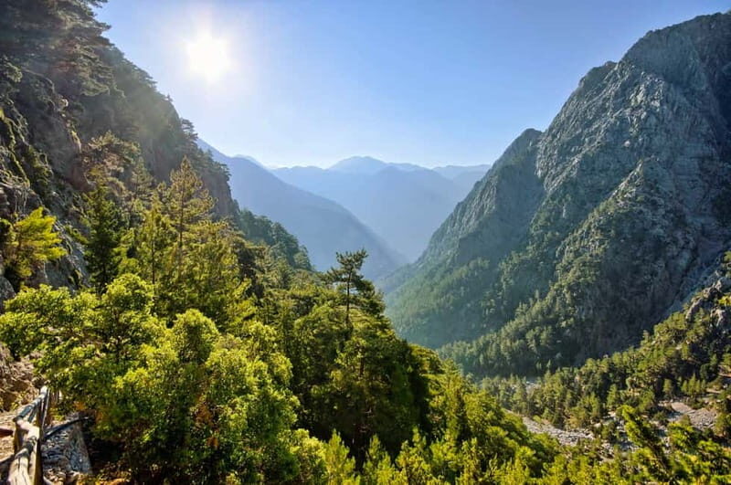 From Chania: Full-Day Samaria Gorge Trek Excursion & Guide - Ferry to Sougia and the ride back to Chania