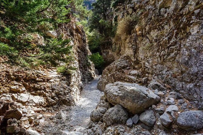 From Chania: Imbros Gorge and Sfakia Experience Hike & Swim - Price and value: what $51.66 really means