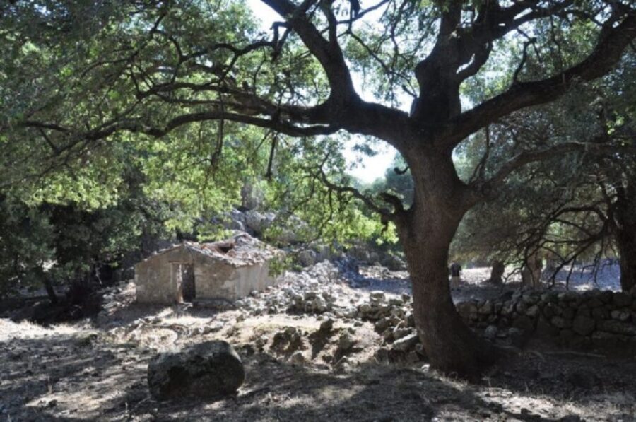 From Chania: Imbros Gorge Guided Hike and Village Visit - Key Things I’d Prioritize on This Trip