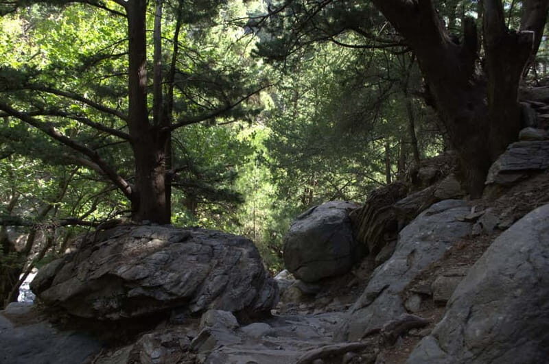 From Chania/Kalyves: Full-Day Samaria Gorge Hiking Day Trip - Price and value: what you’re paying for, and what costs extra