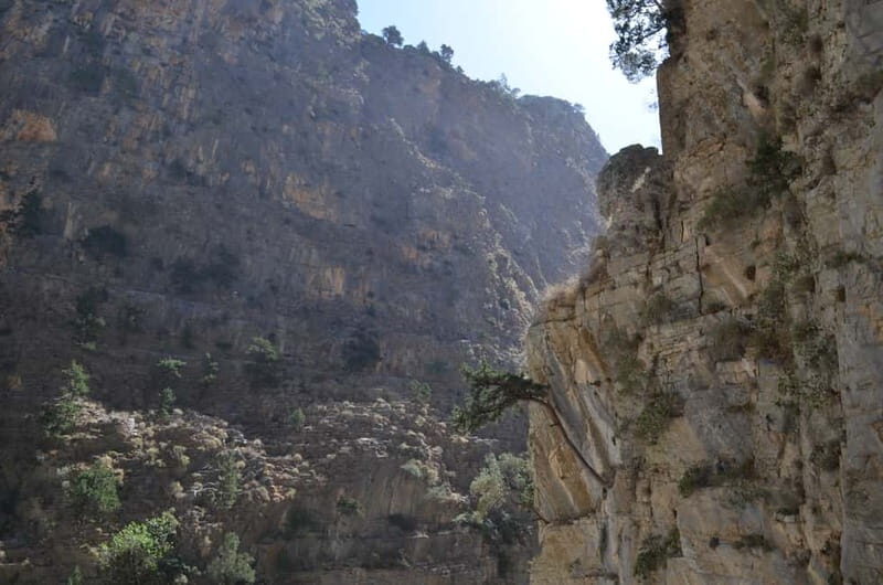 From Chania/Kalyves: Full-Day Samaria Gorge Hiking Day Trip - Crete’s Samaria Gorge: the walk, in plain terms