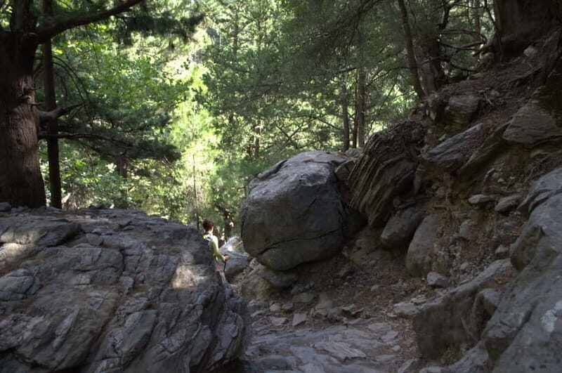 From Chania/Kalyves: Full-Day Samaria Gorge Hiking Day Trip - Entering the gorge at Xyloskalo: the hike begins