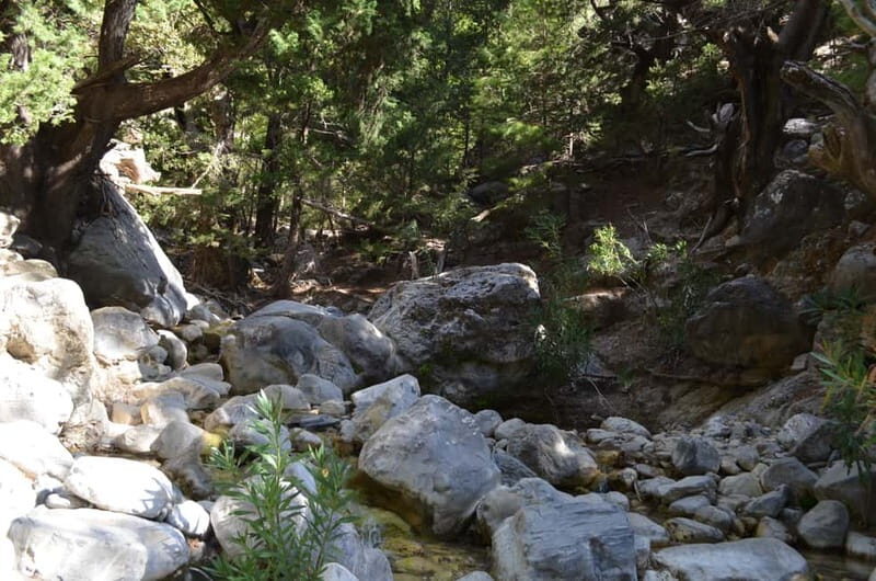 From Chania/Kalyves: Full-Day Samaria Gorge Hiking Day Trip - The trail experience: signposted safety plus real footing