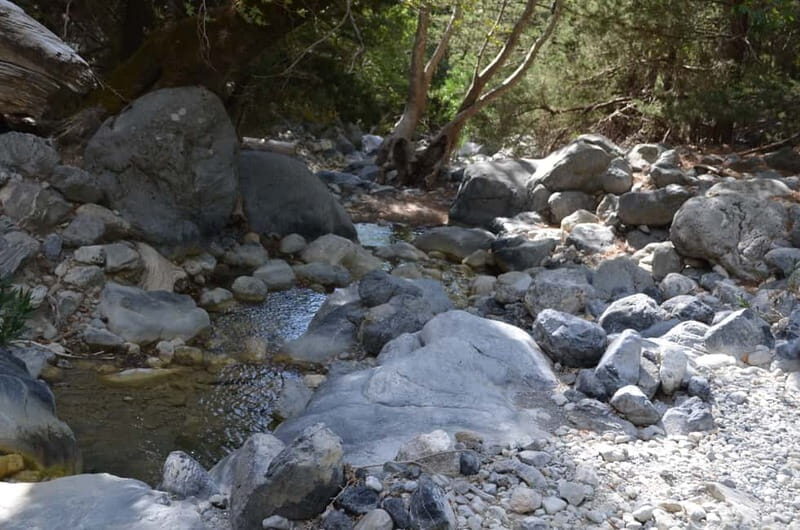 From Chania/Kalyves: Full-Day Samaria Gorge Hiking Day Trip - Breaks, water, and food: what to pack so the day feels easier