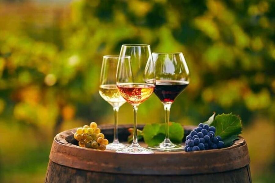 From Chania: Olive Oil, Wine, Cheese & Honey Tasting Tour - From Chania to the Country: How the 7-Hour Flow Actually Feels