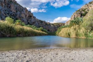 From Chania: Preveli Palm Beach Day Tour - The coach run from Chania: long but manageable with smart break stops