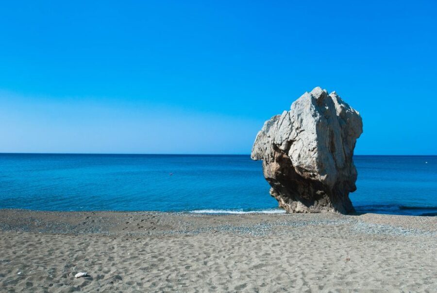 From Chania: Preveli Palm Beach Day Tour - Preveli Palm Forest: Theophrastus palms and a nature walk you can actually do