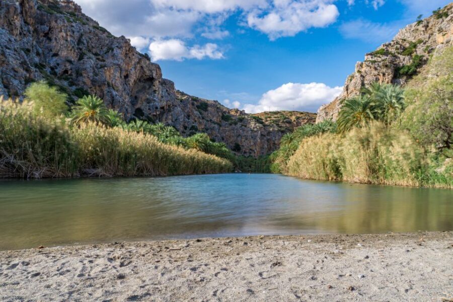From Chania: Preveli Palm Beach Day Tour - The coach run from Chania: long but manageable with smart break stops