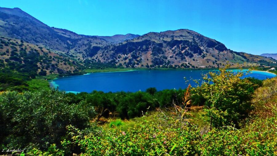 From Chania: Rethymno, Lake Kournas & Olive Oil Tasting Tour - Booking: should you go with this Rethymno–Kournas–olive oil tour?