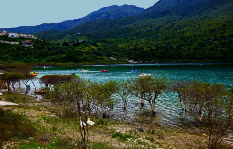 From Chania: Rethymno, Lake Kournas & Olive Oil Tasting Tour - Who this tour suits best (and who might want something else)